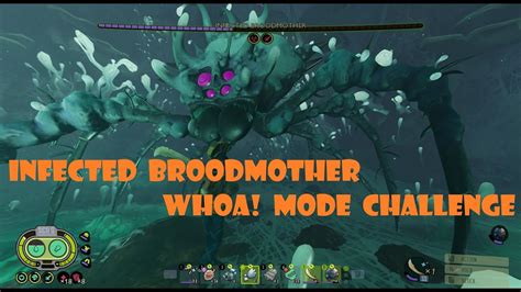 I Defeated The Infected Broodmother In Whoa Mode Grounded Ver 1 2