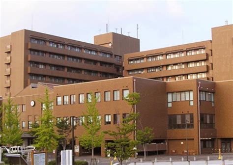 Hiroshima University (Hiroshima, Japan)