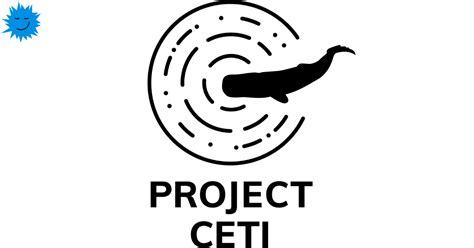 CETI project - sperm whale language decoding - Prog.World