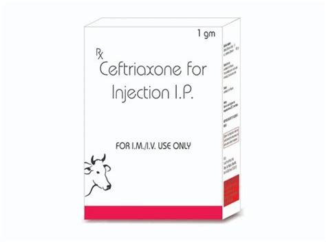 Ceftriaxone Injection 1gm At Rs 55 Vial Pharmaceutical Third Party Manufacturing In Kala Amb