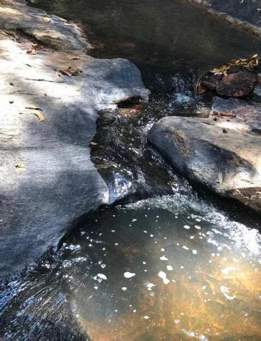 Sitio Em Ant Nio Dias Hematita Terrenos S Tios E Fazendas Ant Nio