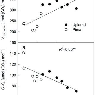 The Relationships Between Leaf Mass Per Area Lma And Area Based Net