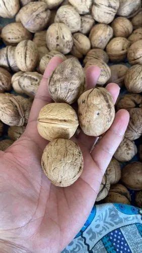 Walnuts In Shell Packaging Type Plastic Box At Rs 475 Kilogram In