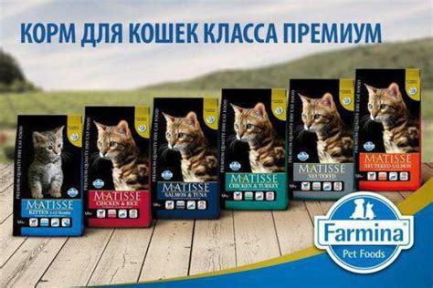 Сухой корм для кошек "Фармина" - отзывы, особенности, виды и состав