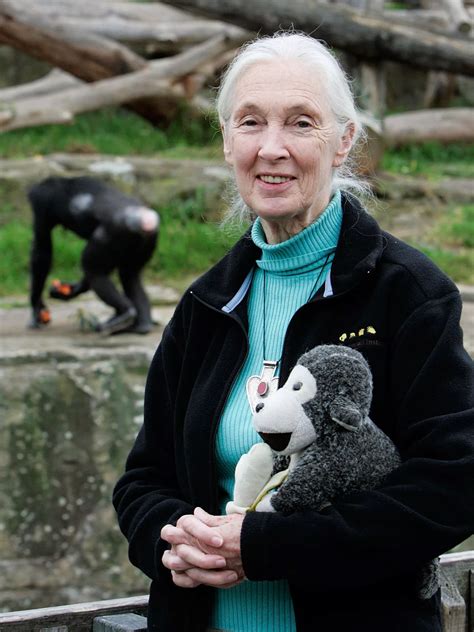 Jane Goodall Facts | Who Is Jane Goodall | DK Find Out | Famous