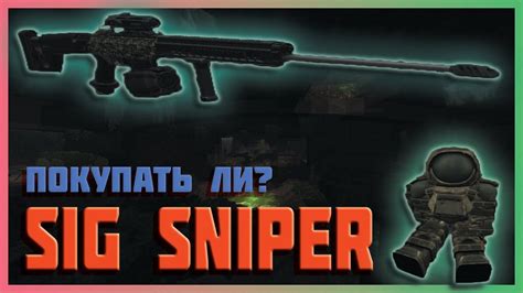 SIG SNIPER КОМУ ОН НУЖЕН STALCRAFT YouTube