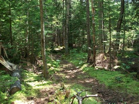 Roque Bluffs State Park | State parks, Maine travel, Park