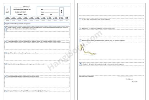 7 Sınıf Fen Bilimleri 1 Dönem 1 Yazılı Soruları Açık Uçlu 2024 2025