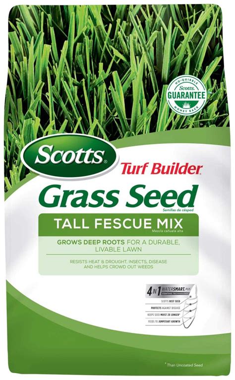 Mixing Tall Fescue What Grass Can I Use LawnHelpful