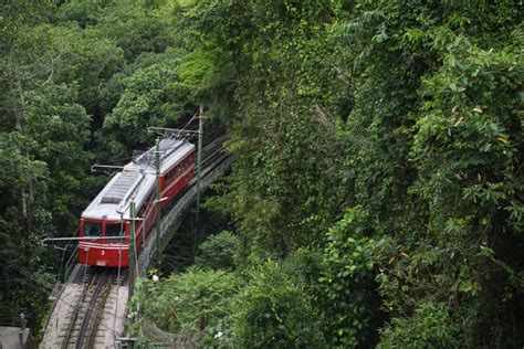 Passeios De Trem Inesquec Veis Para Fazer No Brasil