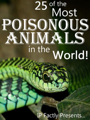 25 Of The Most Poisonous Animals In The World Incredible Facts Photos