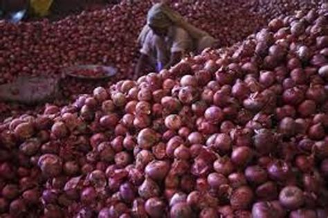 Onion Tomato Prices Continue To Rule High At Rs 60 70 Kg In Delhi