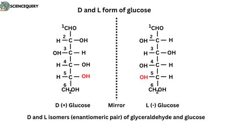 Enantiomers Vs Diastereomers Differenciate Sciencequery