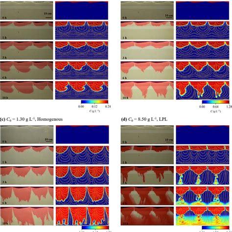 Comparison Of Solute Plumes In The Experiments And The Simulations At