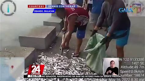 Mga Palaisdaan Sa Obando Bulacan Tinamaan Ng Fish Kill Mga