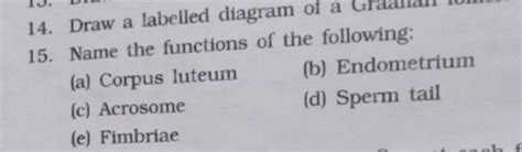 Draw A Labelled Diagram Of A 15 Name The Functions Of The Following