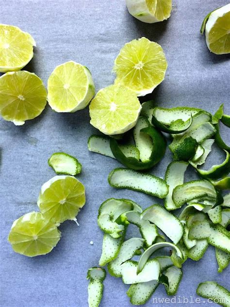 Easy DIY Tonic Water For The Best Gin and Tonic | Northwest Edible Life