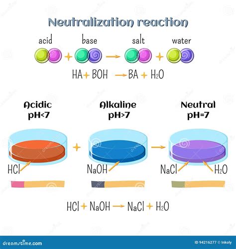 Ácido Base Reacción De La Neutralización Del ácido Hidroclórico E