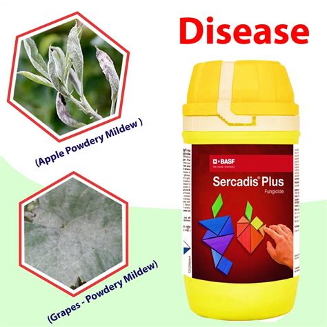BASF Sercadis Plus Fungicide, बीएएसएफ फंगीसाइड्स - Agriplex Private ...