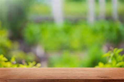 Premium Photo Empty Wood Table Top And Blurred Green Tree