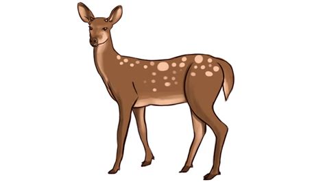 female deer clipart 10 free Cliparts | Download images on Clipground 2024