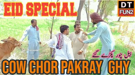 Bakra Eid Special Chor Pakry Ghy Chaudhary Ko Chaddar Ne Zaleel Kar