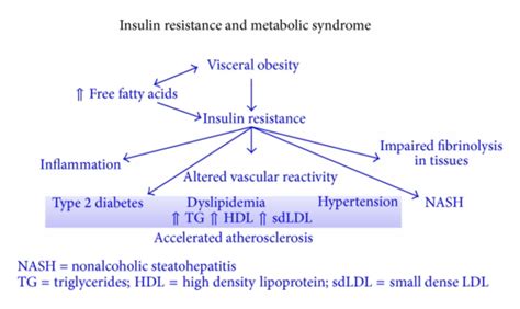 Pathophysiology Of Insulin Resistance In Metabolic Syndrome [56