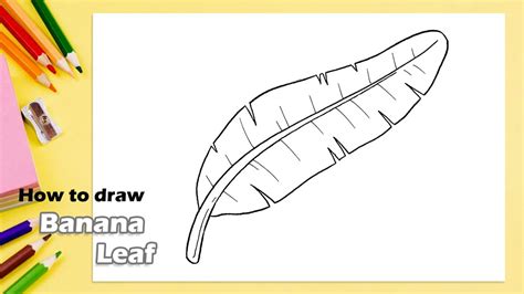 Banana Leaf Drawing