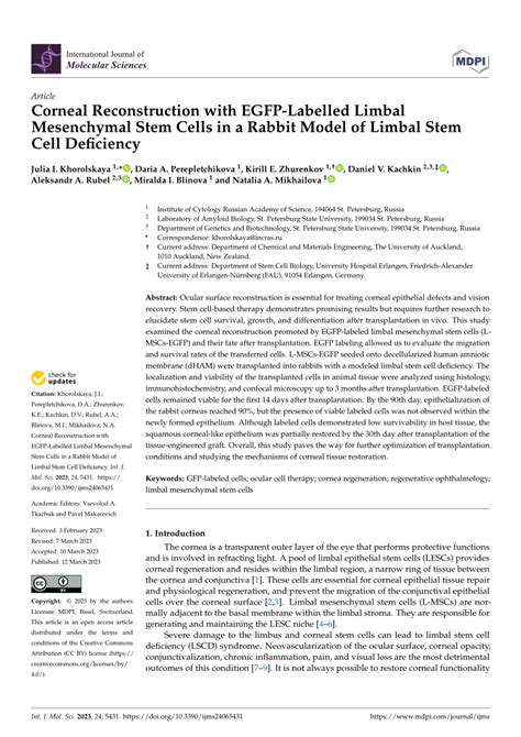 Pdf Corneal Reconstruction With Egfp Labelled Limbal Mesenchymal Stem