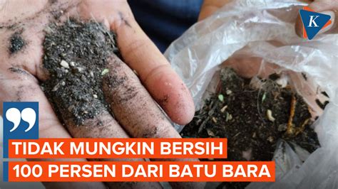 Berita Harian Debu Batu Bara Di Rusunawa Cilincing Terbaru Hari Ini