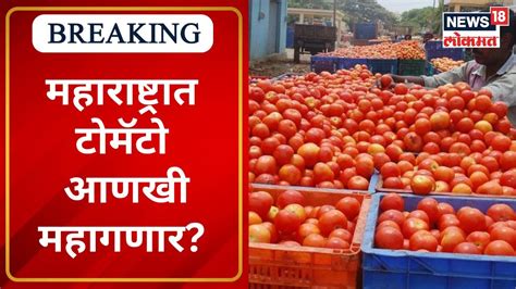 Tomato Price Hike महाराष्ट्रात टोमॅटो आणखी महागणार The Tomato Crisis In India Marathi News