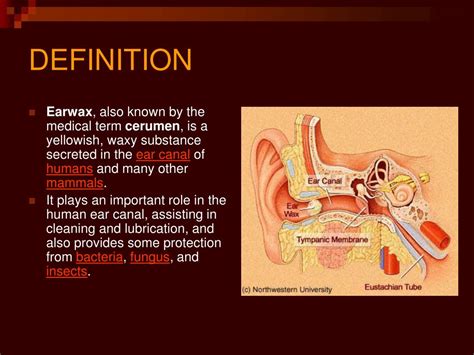 Impacted Cerumen