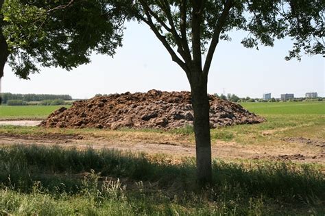 Bouwplan En Bodembeheer Optimalisatie Van Gewasrotatie Groenbemesters