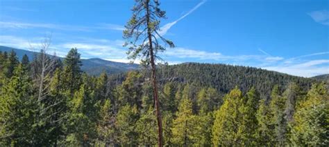 10 Best Trails and Hikes in Evergreen | AllTrails