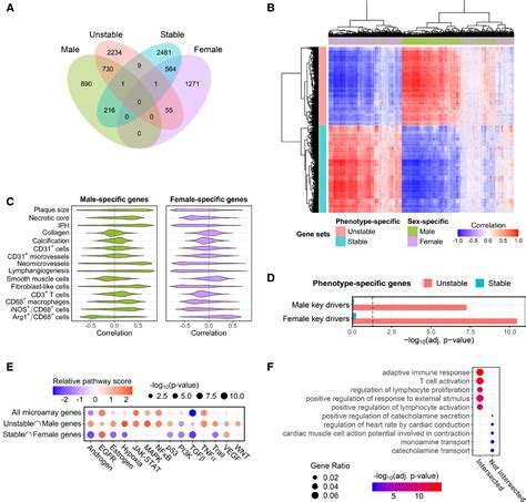 Transcriptional Sex Dimorphism In Human Atherosclerosis Relates To