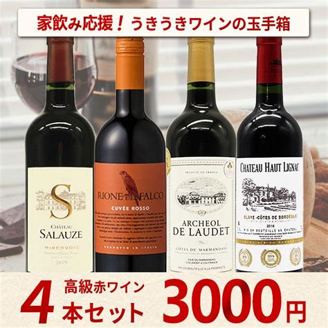 ワインセット うきうきワインの玉手箱 家飲み応援 3000円シリーズ 赤ワイン4本セット 家飲み 巣ごもり 応援 Stay Home