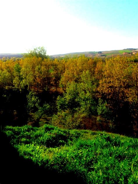 La arboleda Azuara Zaragoza España Country roads Farmland Outdoor