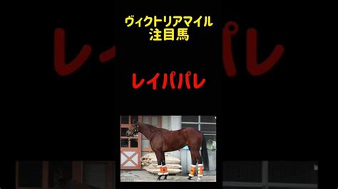 競馬予想 ヴィクトリアマイル2022 注目馬 レイパパレ 土日東京メインで穴を開けた、カワキタレブリーとマイネルクリソーラ との意外な共通点と