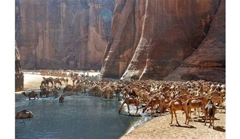 Wadi El Gemal Hamata Reserve Area Sis