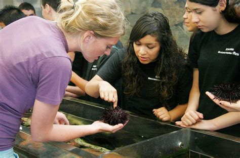 Opportunities Ucsb Marine Science Institute