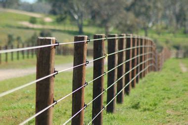 Bulk Chicken Wire Fencing: Types Of Pasture Fencing