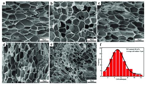 Scanning Electron Microscopy Sem Micrographs Of The Fracture Surface