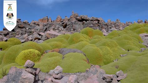 Conozca El Impresionante Mirador De Volcanes De Patapampa Autocolca