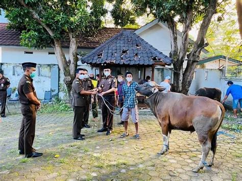 Kajati Ntb Lakukan Pemotongan Hewan Kurban Dan Bagikannya