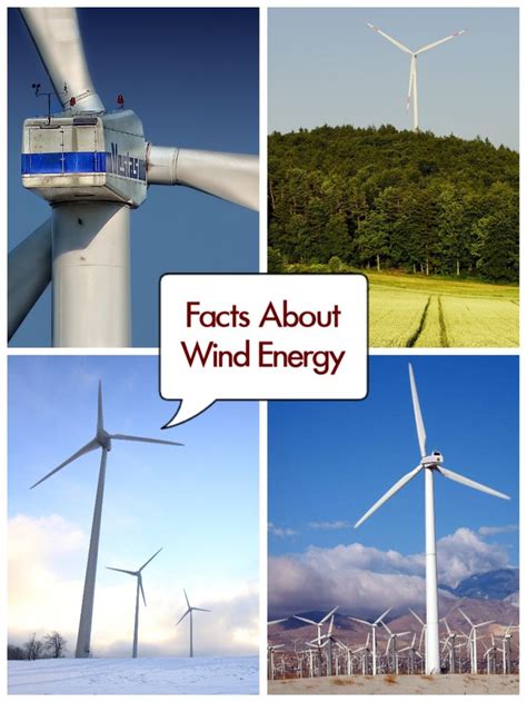 Facts About Wind Energy That You Should Know Windenergy Climatechange