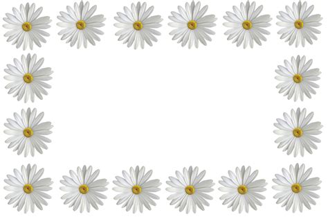 white flowers border 28335941 PNG