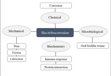 Figure 1 From Progression Of Bio Tribocorrosion In Implant Dentistry