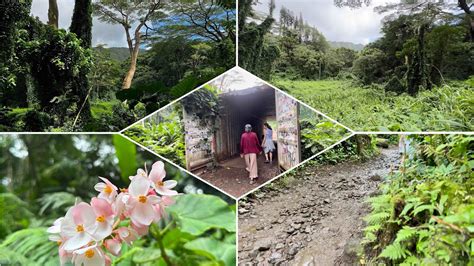 V Hike To Manoa Fall Leo N I L N Th C N C Honolulu V C I K T