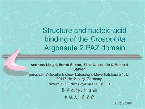 PPT - Structure and nucleic-acid binding of the Drosophila Argonaute 2 PAZ domain PowerPoint ...