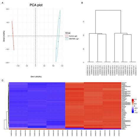 Rna Seq Snakemake